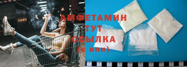 сатива Беломорск