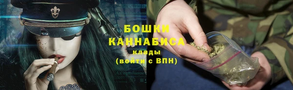 сатива Беломорск
