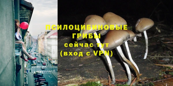 каннабис Снежногорск