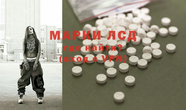 сатива Беломорск